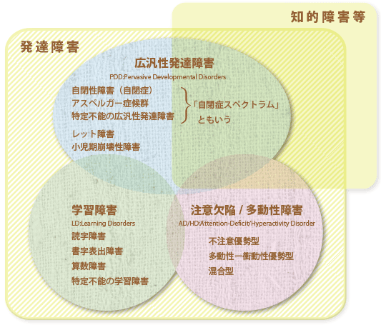 気になる子に寄り添うために 前編 発達障害の定義と原因とは 保育のお仕事レポート