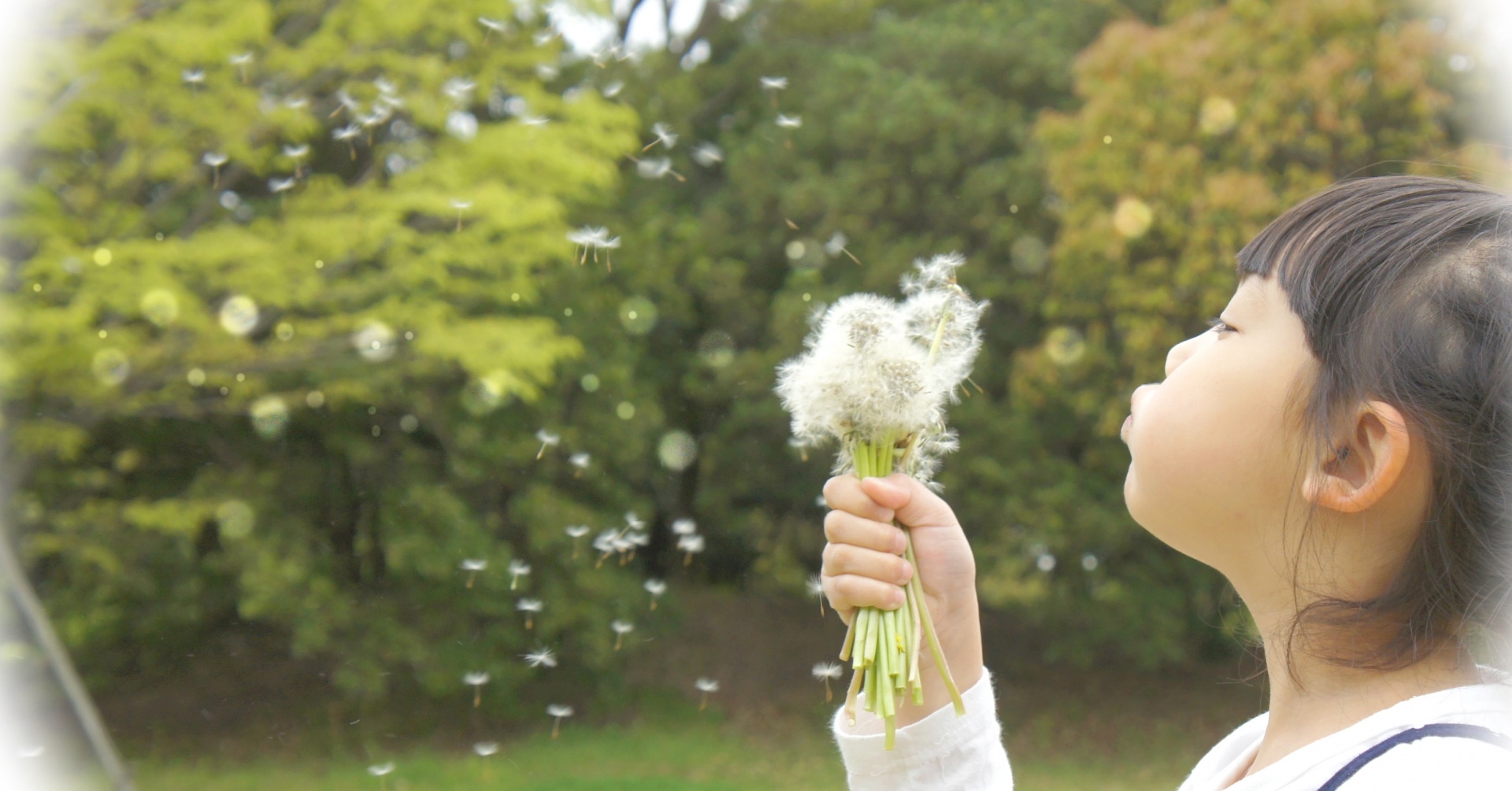 手づくり紙芝居を作ろう 子どもの学びにつながる作り方 演じ方 保育のお仕事レポート