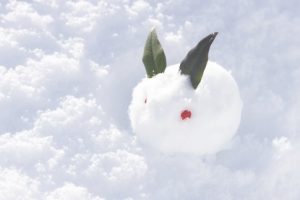 雪ウサギ