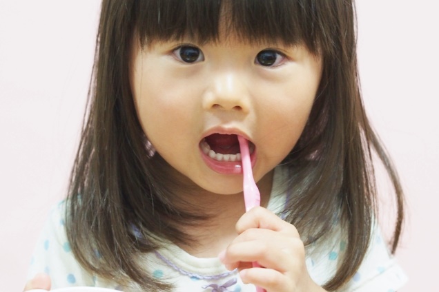 小児歯科専門医が教える子どものハミガキ基本のき 歯ブラシの選び方から虫歯予防のポイントまで 保育のお仕事レポート