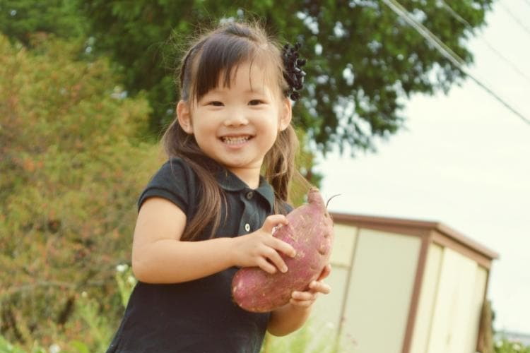 学校法人宮地学園