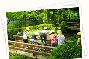 認定愛の光こども園