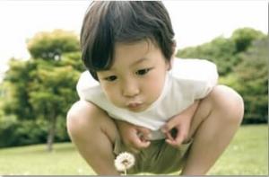 野田市立清水保育所【こどもの森】