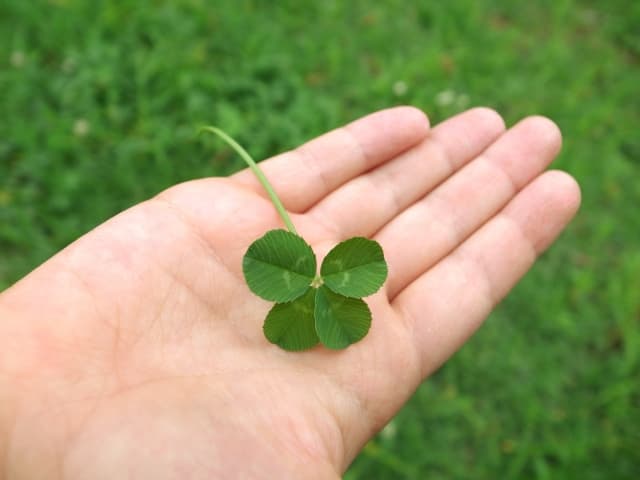 東雲ルミナス保育園 東京都江東区の看護師 非常勤 パート求人 保育のお仕事