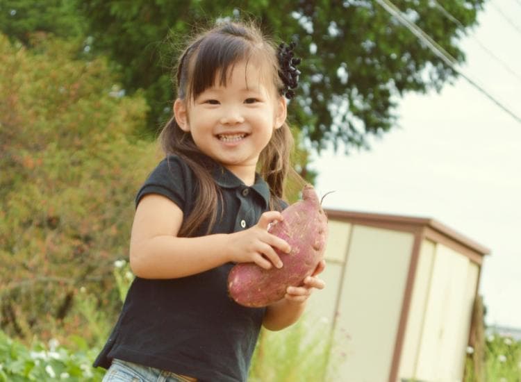 東川口幼稚園 埼玉県川口市のその他 非常勤 パート求人 保育のお仕事